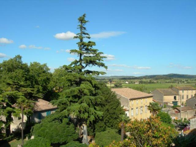 Chambres D'Hotes Le Clos De Venes Saint-Couat-dʼAude 외부 사진